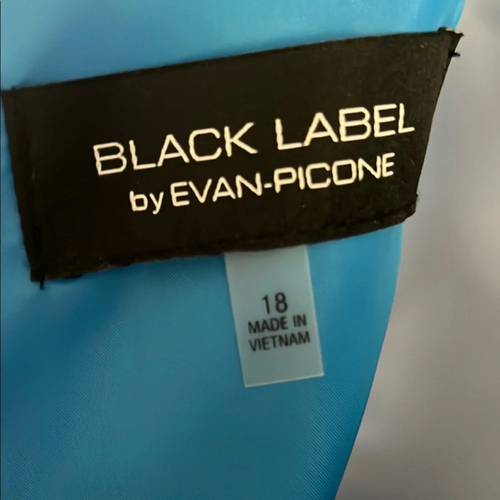 Black Label by Evan- Picone Blue Fully Lined Sleeveless Dress - Picture 4 of 5